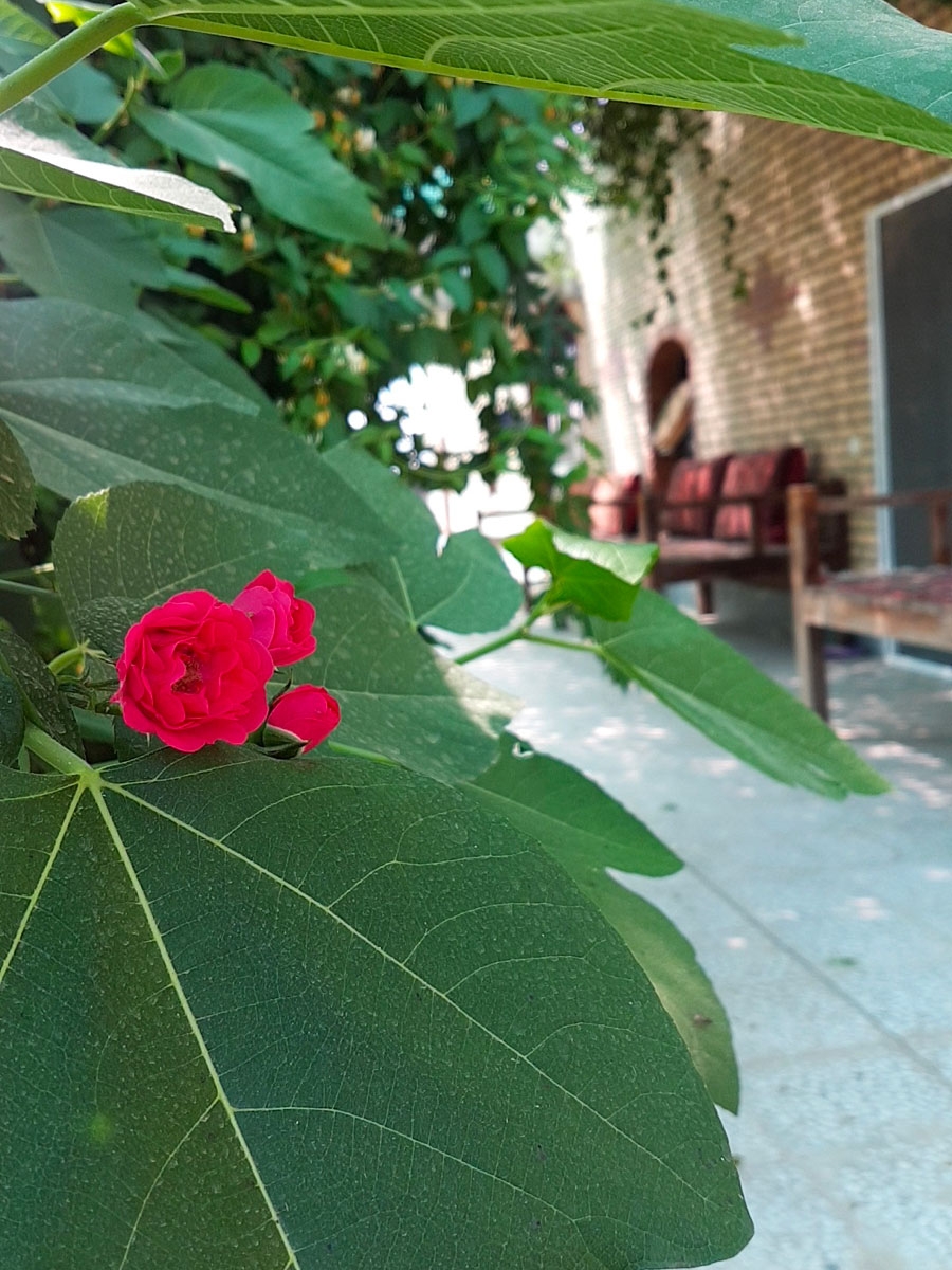 قصر شیرین گرمسار